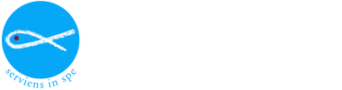  logo-sanvincenzomilano